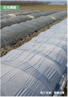 環(huán)保可降解PLA吸管與農(nóng)用薄膜 可持續(xù)材料的應(yīng)用與前景