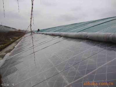 供應潤青PO膜(一潤精品)生產(chǎn)廠家——青州市一潤農(nóng)膜廠與電子科技的融合創(chuàng)新